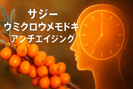 サジー ウミクロウメモドキ アンチエイジング 徹底ガイド2026