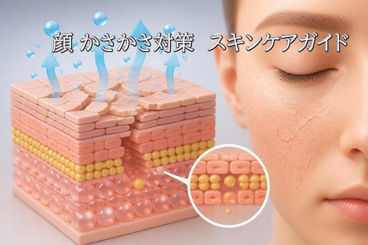 顔 かさかさ対策完全ガイド:原因から解決策まで2026年版