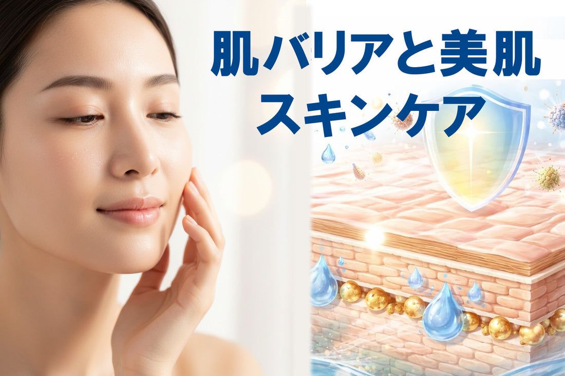 肌バリア 洗顔の正しい方法と選び方【2026年版】
