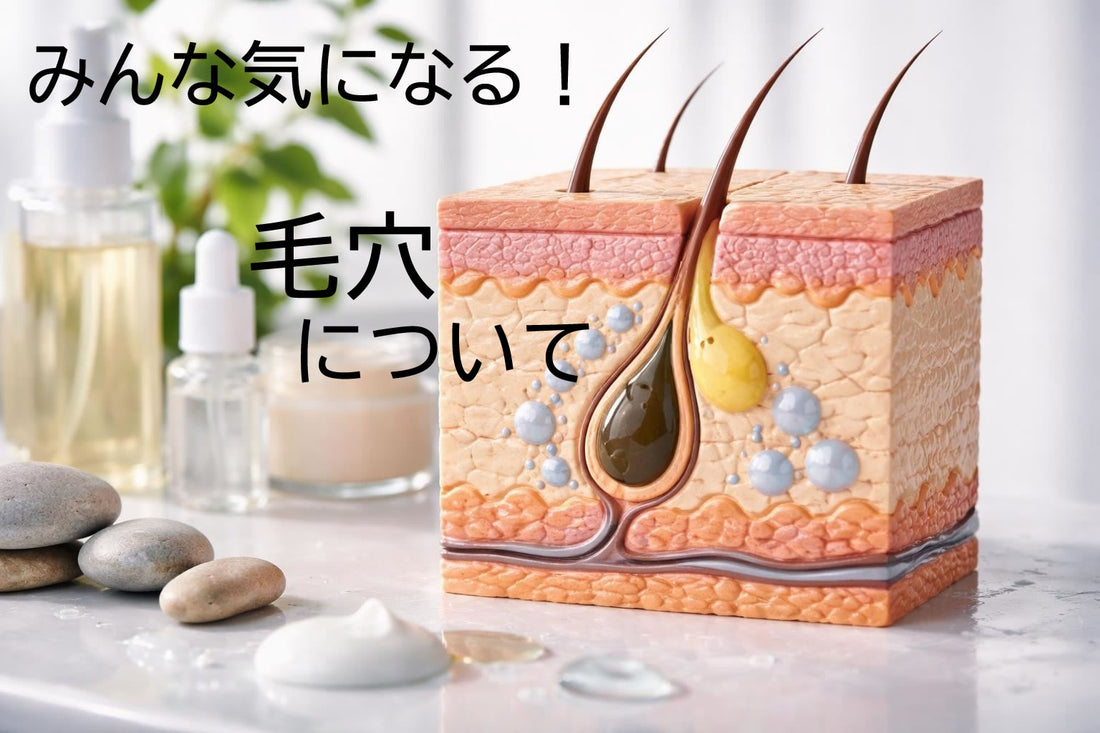 毛穴ケアの科学的アプローチと実践方法【2026年版】
