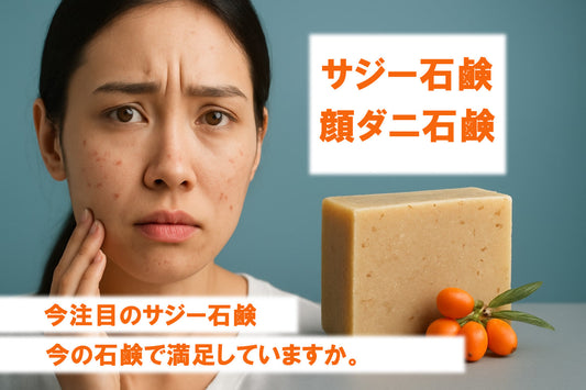顔ダニ石鹸 ？サジー石鹸？ スキンケア徹底比較 2026年版