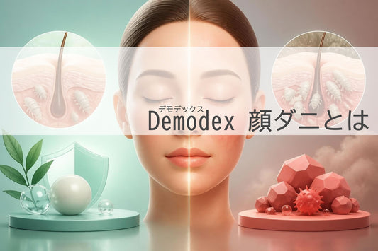 Demodex（デモデックス）とは?顔ダニの基礎知識と肌への影響を徹底解説
