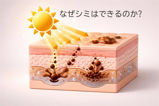 なぜシミはできるのか?メカニズムと予防法を専門家が解説
