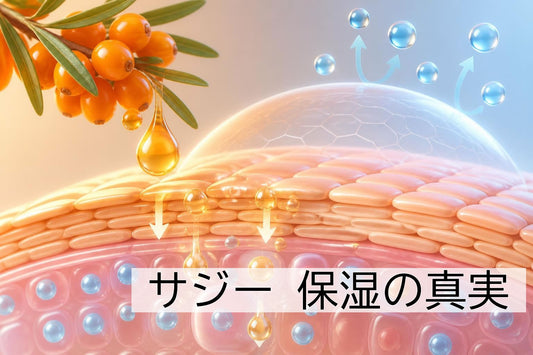 サジー 保湿の真実:2026年版スキンケアガイド