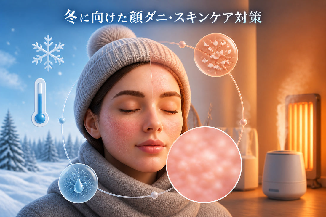 冬に向けた顔ダニ・スキンケア対策のポイント【2026年版】
