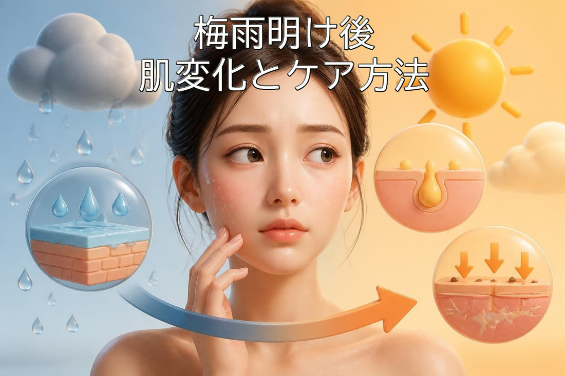 梅雨明け後の肌変化とケア方法｜2026年最新ガイド