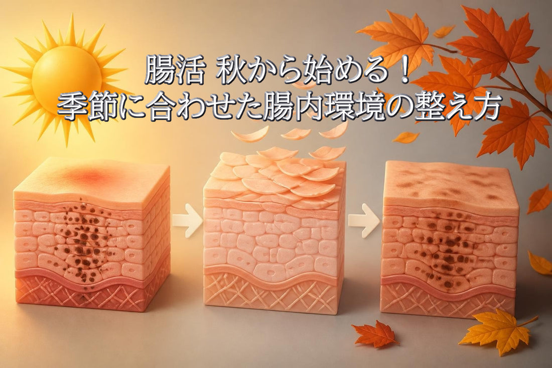腸活 秋で始める!季節に合わせた腸内環境の整え方