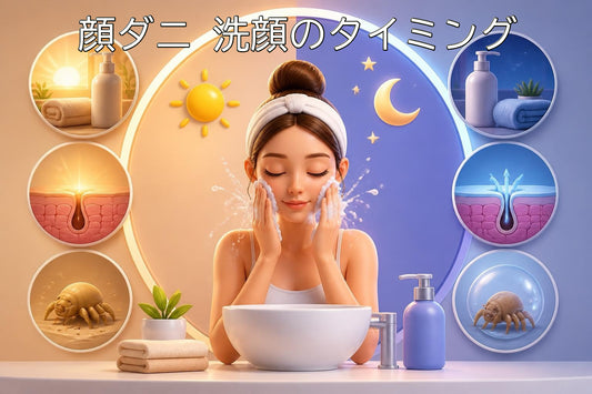 顔ダニ洗顔タイミング完全ガイド｜朝夜の最適スケジュール