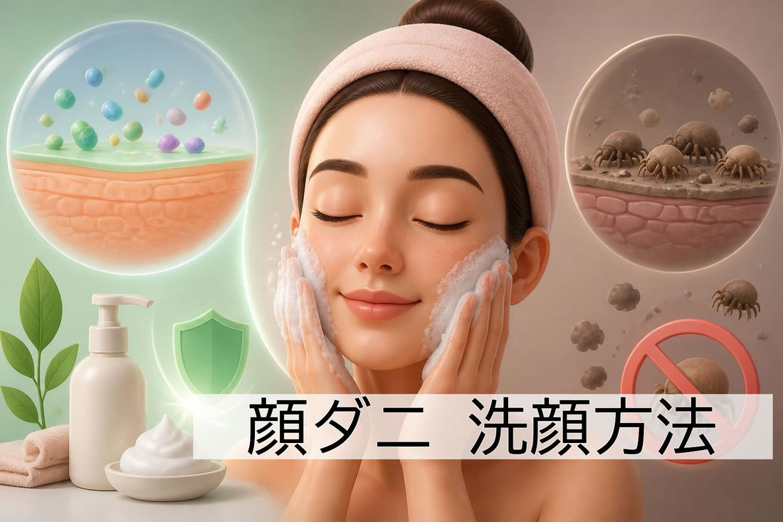 顔ダニ 洗顔方法｜2026年版 正しいケアで肌環境を整える