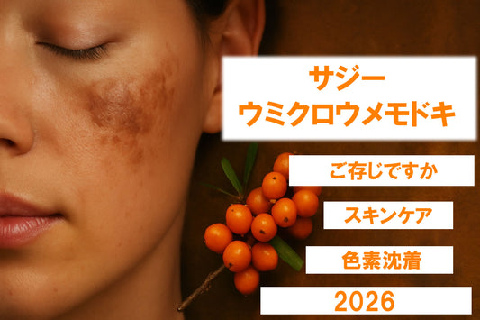 サジー ウミクロウメモドキ 色素沈着徹底ガイド 2026
