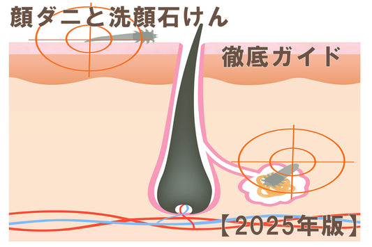 顔ダニと顔ダニ石鹸【2025年度】